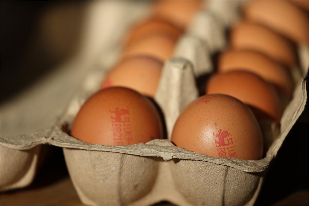 嚴重禽流感與飼料上漲　日本雞蛋每公斤74元台幣創新高
