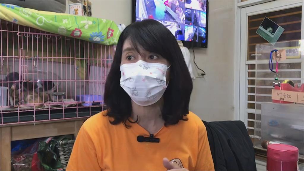 比特犬咬死3歲男童　該不該安樂死引發關注