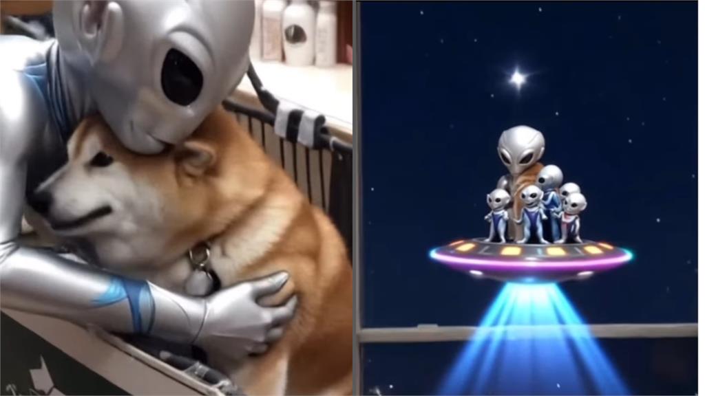 「不可以色色」迷因柴犬本尊驚傳離世!主人親證實:牠踏上彩虹橋了