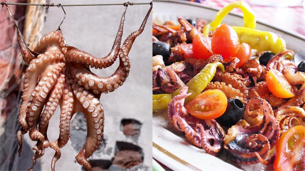「章魚、魷魚」上桌後傻傻分不清？營養師曝6不同「1烹調」跟膽固醇說掰！