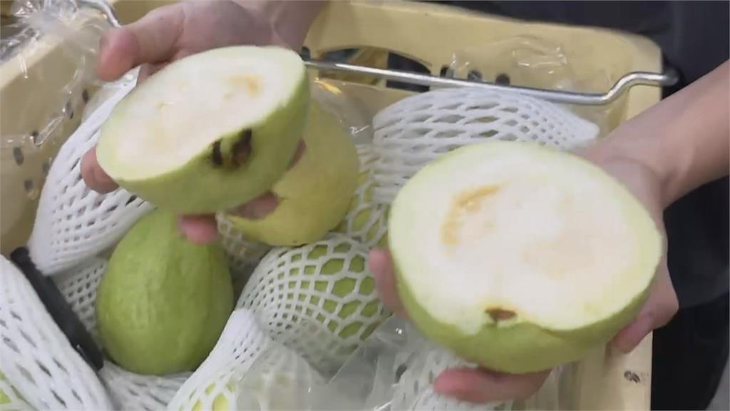 「芭樂太好吃」爆紅！　屏東青農楊忠憲現身回應