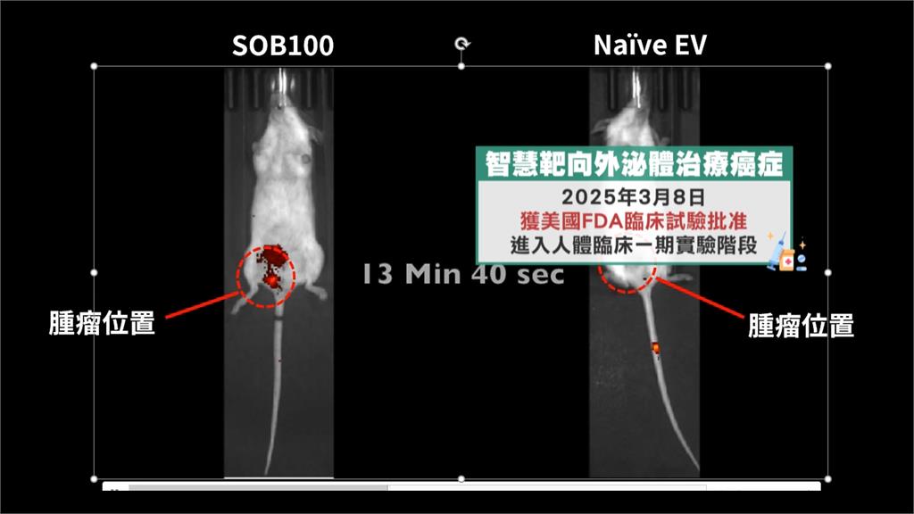 「靶向性外泌體」創新癌症療法 獲准人體試驗拚三年內在台上市