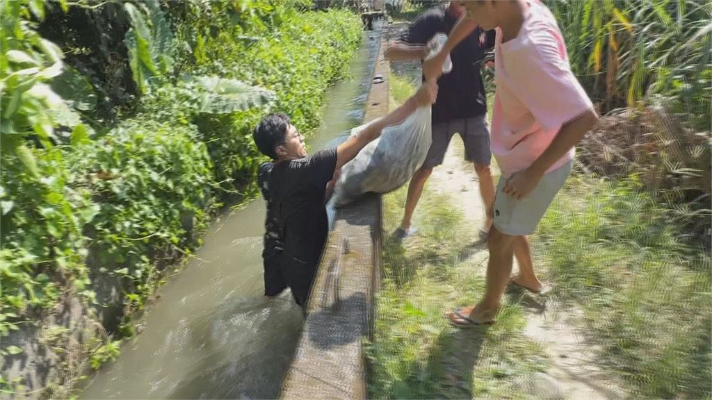 南投竹山卡皮巴拉脫逃潛水　2熱心民眾跳溝圍捕