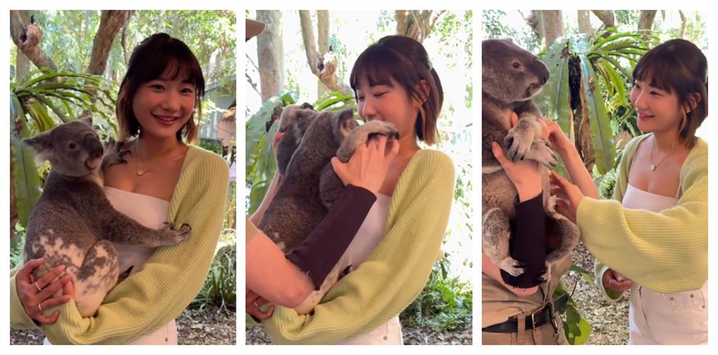 愛莉莎莎赴澳「初抱無尾熊感覺很差」！她批園方「3舉動」：超不尊重