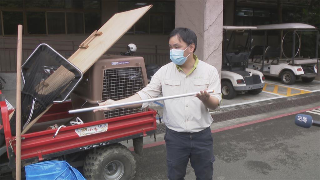 東非狒狒初步報告出爐　醫研判「氣血胸」是死因