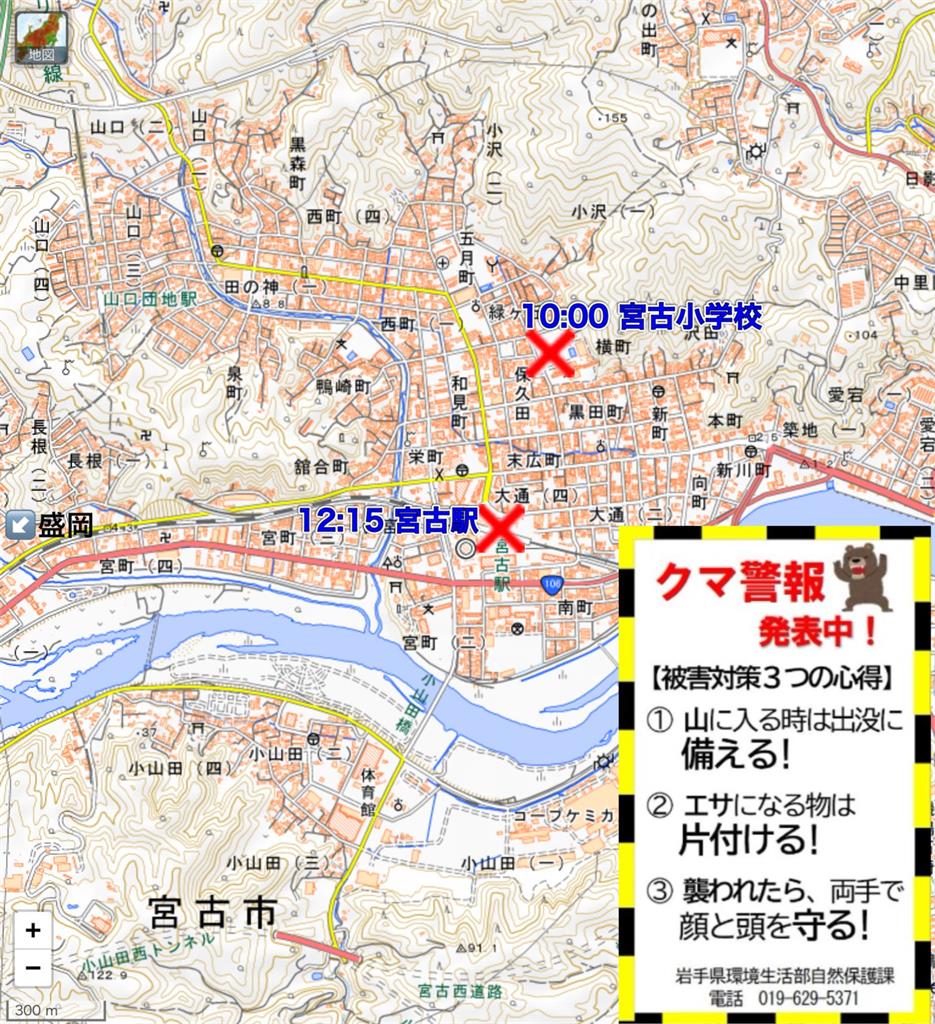 岩手縣市區拉「熊襲警報」巨獸闖車站民眾逃竄!獵人山中遭攻擊滿臉血