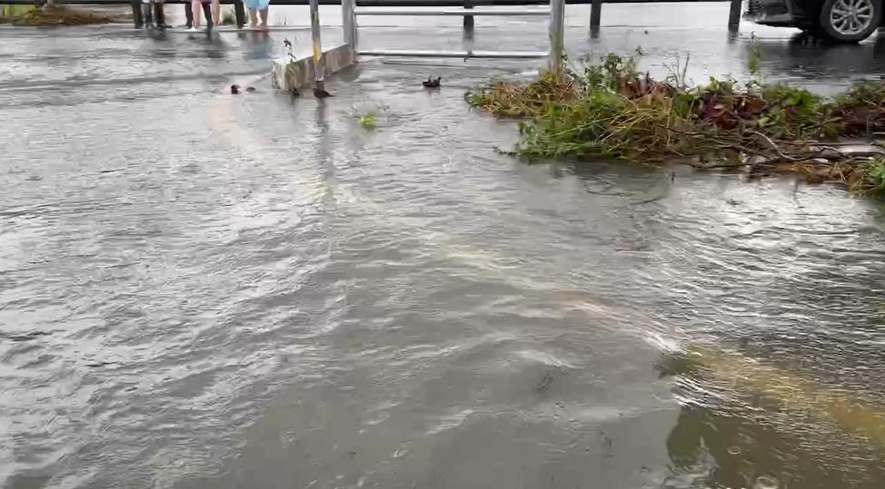 快新聞/魚都被沖上路面!宜蘭室內淹水1.5米高 家具墊高也沒用