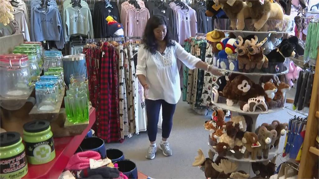 美國科州小鎮紀念品店內新常客「麋鹿」！　巡店乖巧不怕生