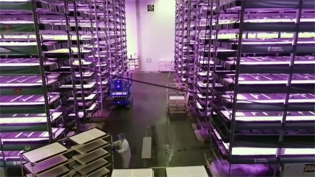 美麻省理工發明授粉機器人　盼取代蜜蜂執行人工授粉