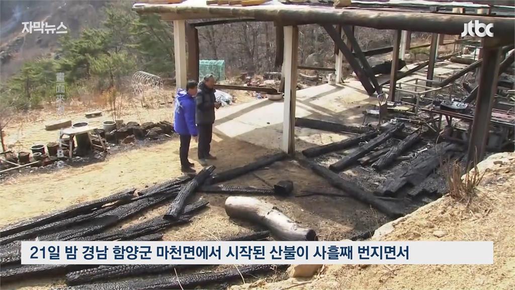 中國黃沙引南韓森林大火　山林廳長酒駕遭拔官帽