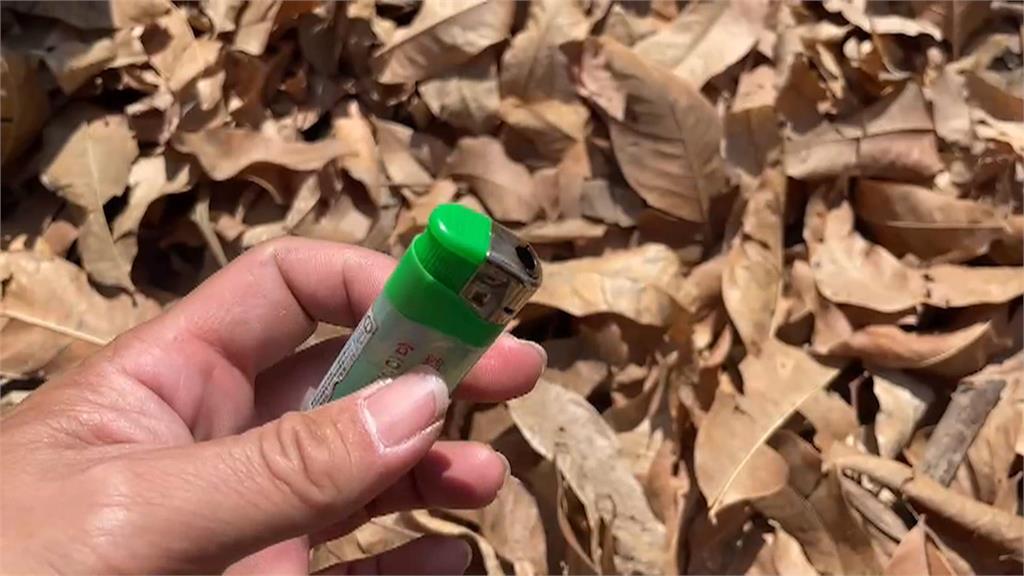 2男童森林園區玩打火機 點燃落葉險釀大火