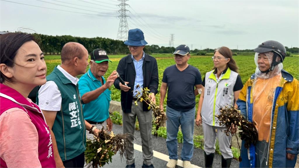 快新聞／劉建國出手！雲林花生遭豪雨重創　補助方案曝光