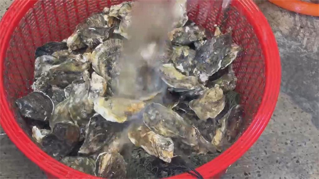 畢旅驚魂！海產店吃生蠔　8名學生疑食物中毒上吐下瀉