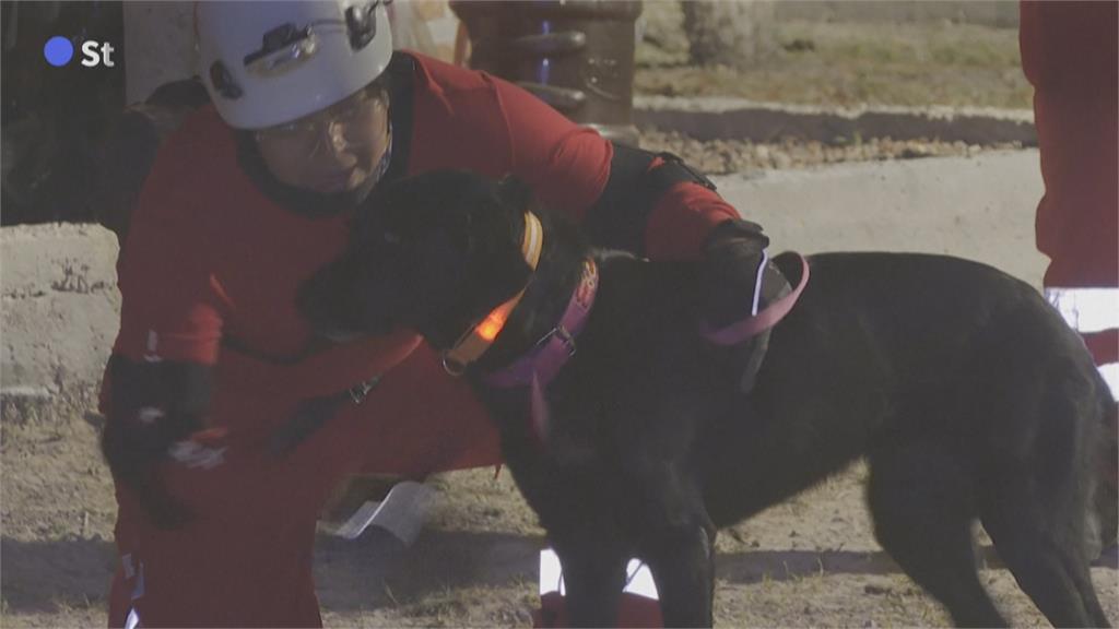穿梭瓦礫堆尋受困者！　墨西哥地震頻繁　訓練搜救犬