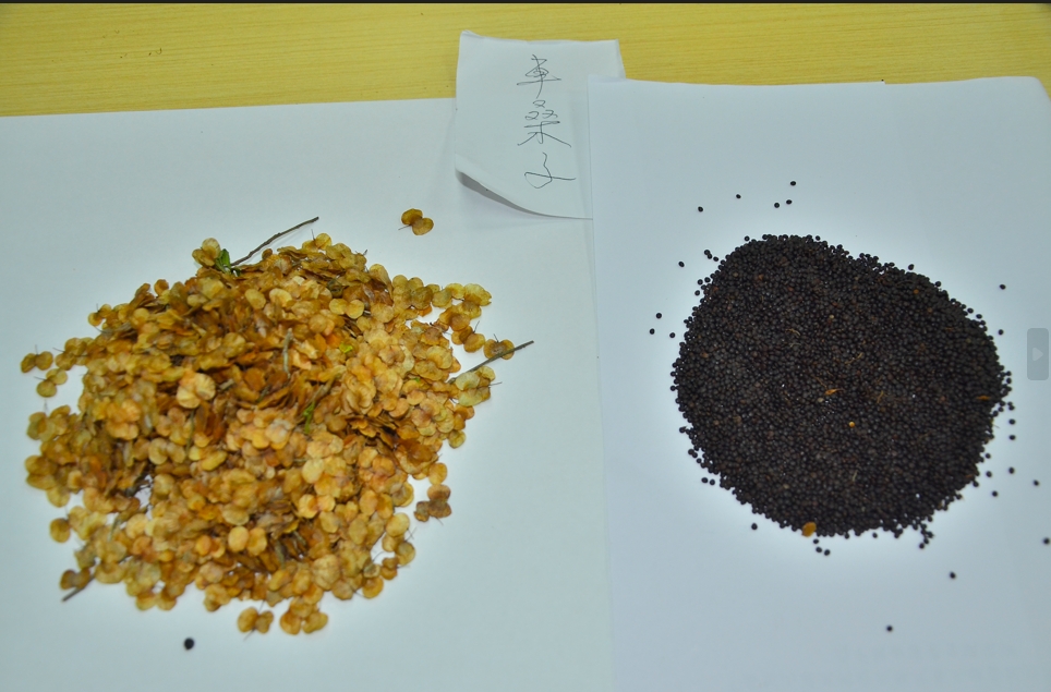 地震形象影片 太管處邀大家一同為太魯閣加油