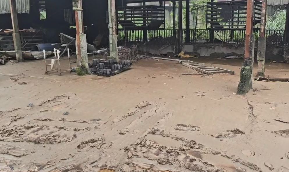 蘇澳民宅、養豬場遭土石掩埋 重機具緊急進駐協助清淤