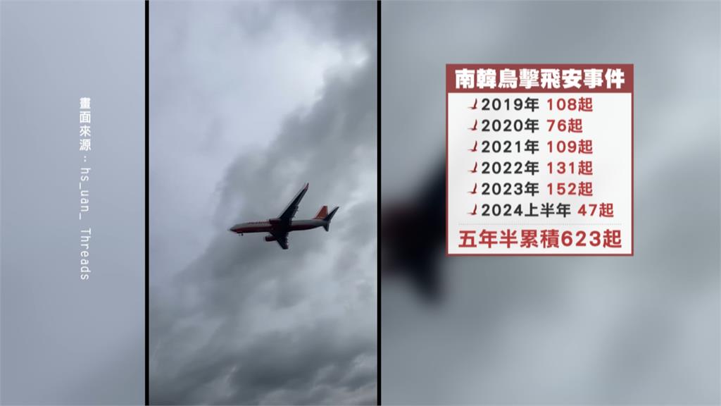 濟州航空疑遇鳥擊失事　專家：恐因此系統全失效