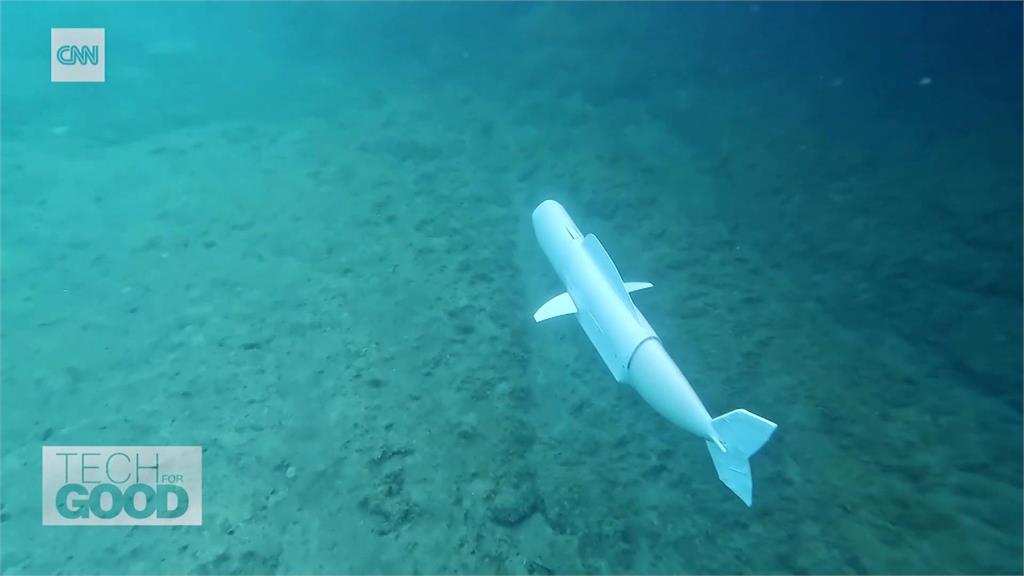 瑞士學生開發「仿生機器魚」　超擬真！盼不干擾環境研究生態