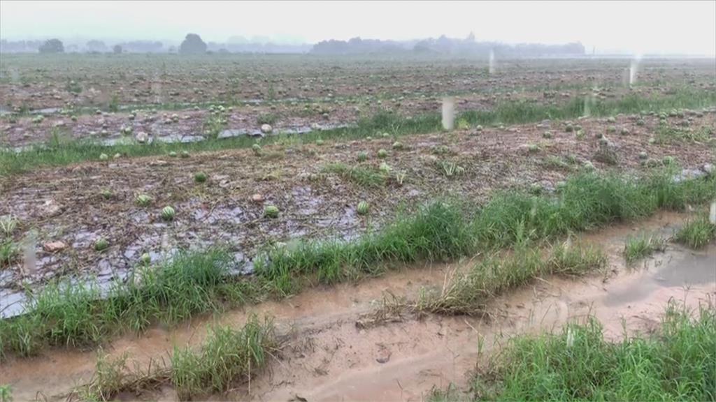 豪雨成災「西瓜.絲瓜田泡水」　台南瓜農損失逾200萬