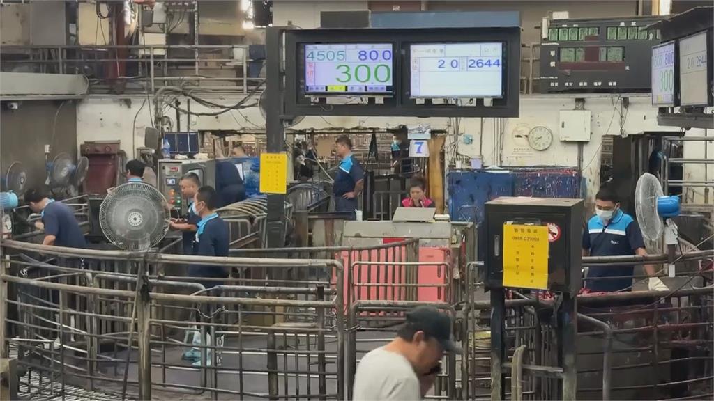 台灣重返非疫區 未來百日關鍵期