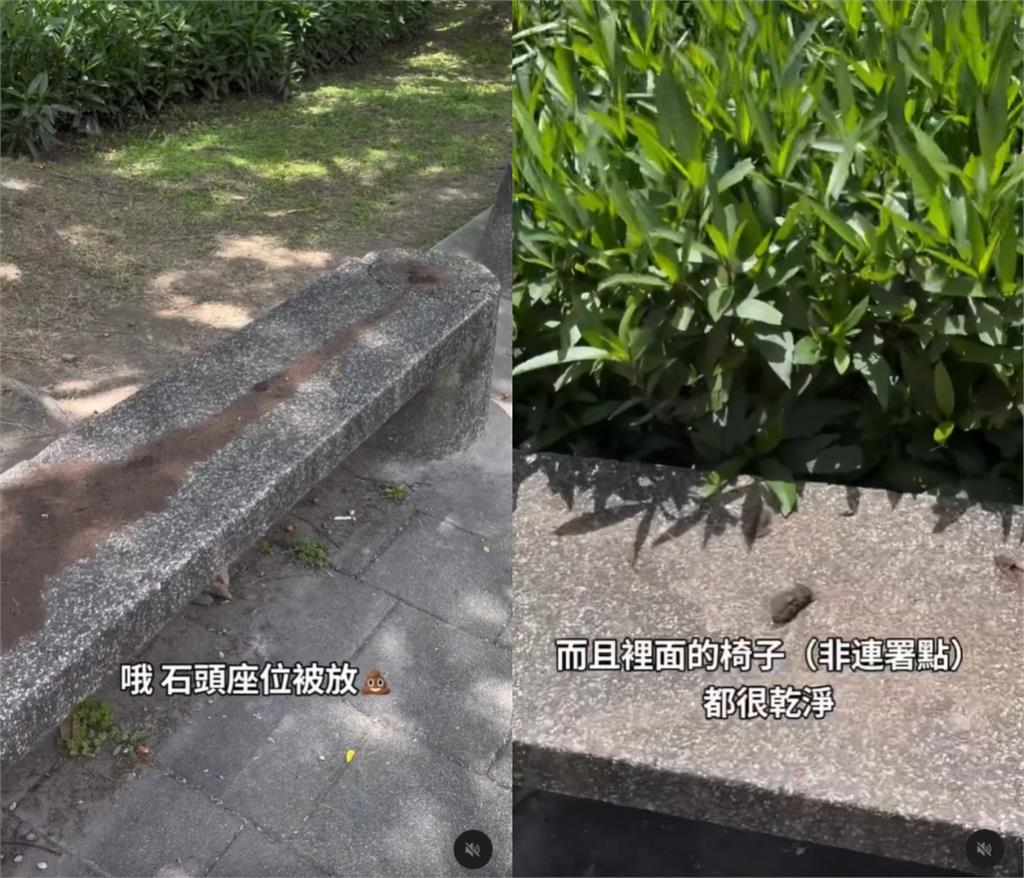 桃園罷免連署站遭「塗滿大便」!黃瓊慧怒批「惡劣」:不認同也不應這樣做