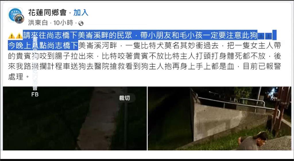 攻擊事件頻傳! 比特犬"沒戴嘴套"咬死貴賓狗 飼主走人不處理