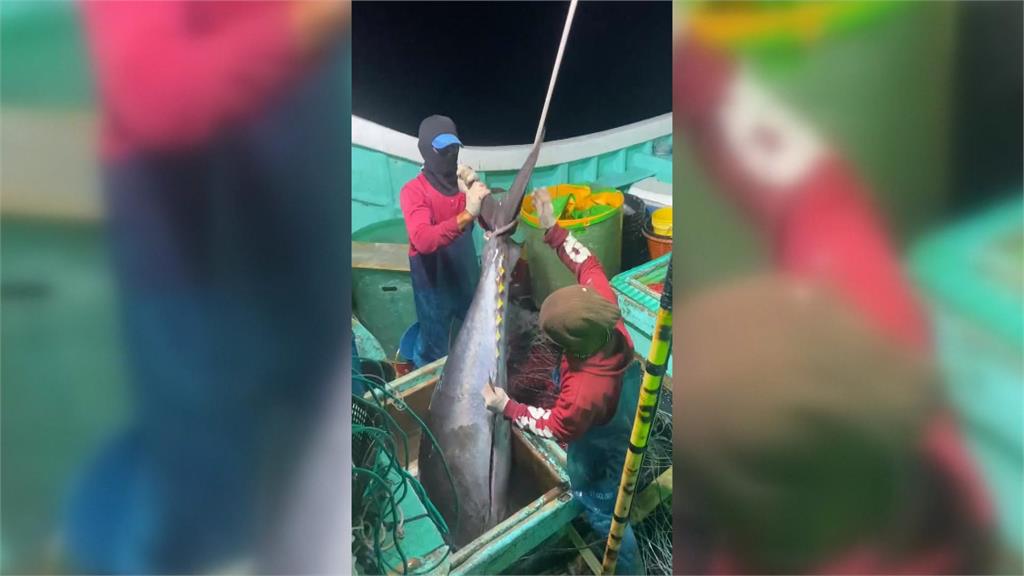 「第一鮪」夢碎！船長依規錄影　仍「因這原因」被取消失格