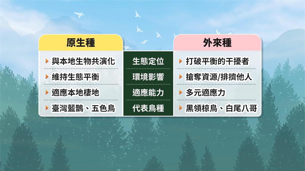 宗教團體「放生祈福」驚見外來種！　動保處重罰負責人15萬元