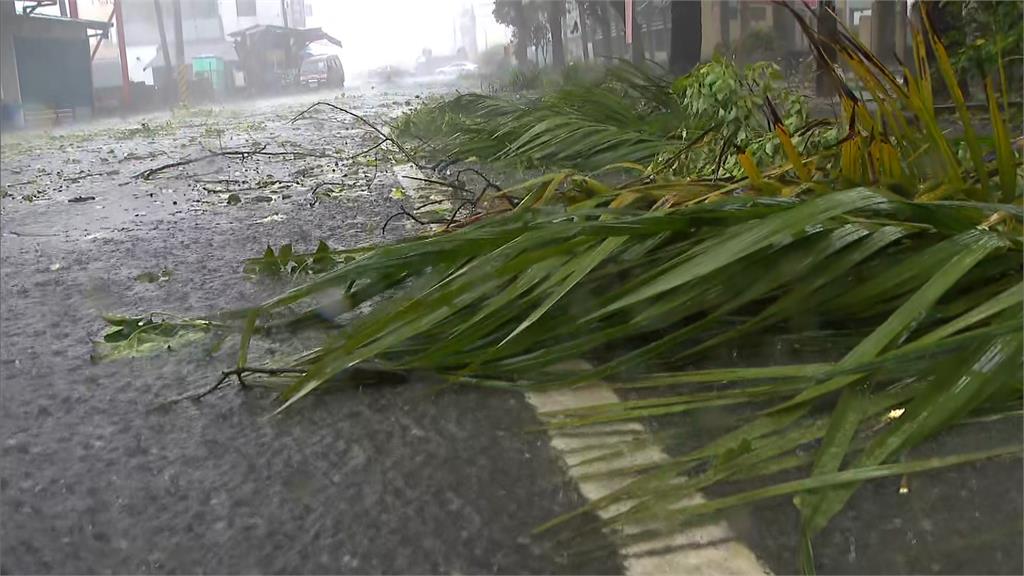 「海葵」10級陣風強襲花蓮　台9線樹倒釀追撞回堵