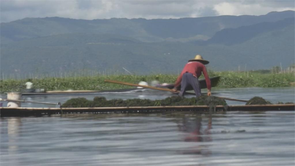 茵萊湖水上奇觀　「漂浮農場」衝擊自然環境
