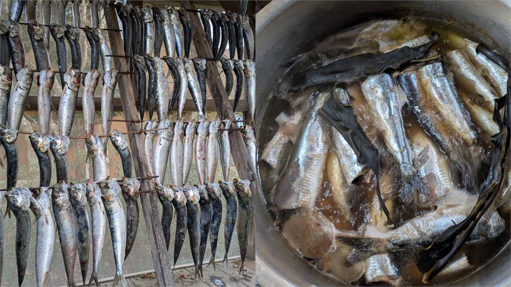 日本青森7.5強震前兆?2000隻沙丁魚「沖上海灘」集體擱淺異象曝光!