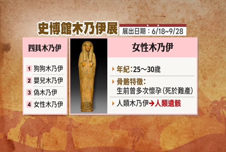 史博館6月將推「埃及木乃伊」特展 航空公司要求出示「死亡證明」