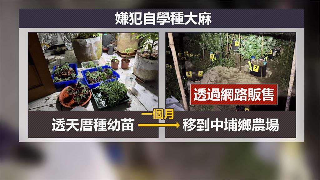 嘉義警臨檢見「這東西」 意外破獲青農自學種大麻