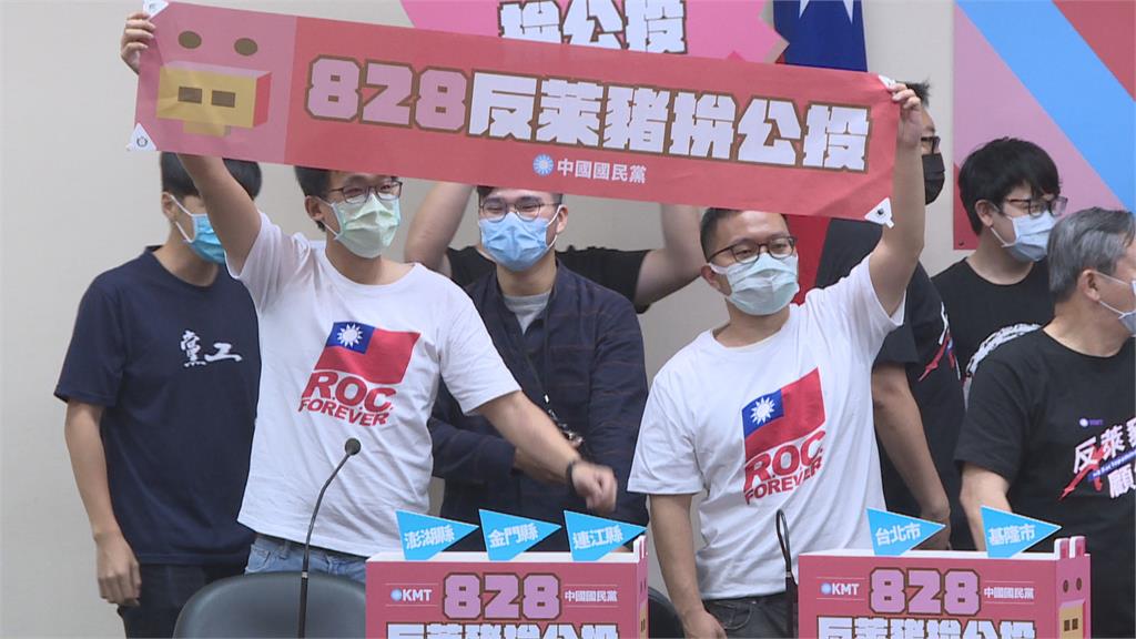 公投延長賽! 828公投延到12/18
