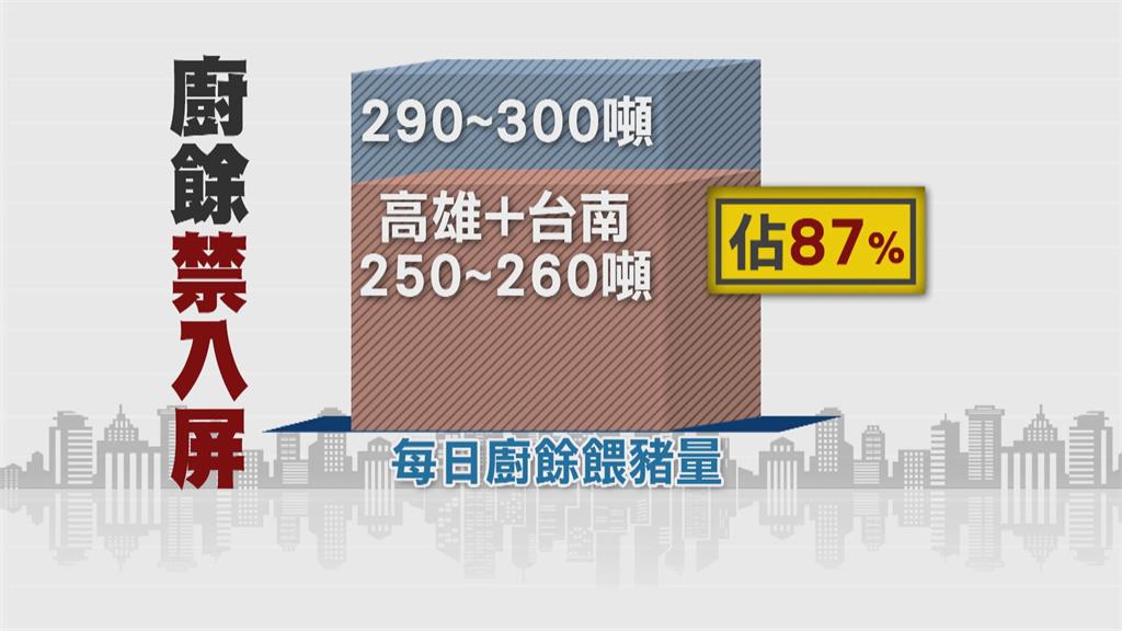 擋非洲豬瘟禁廚餘養豬一個月 屏東黑毛豬改吃飼料