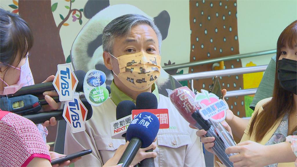 決定了! 馬來貘公主命名 「貘花豆」高票勝出