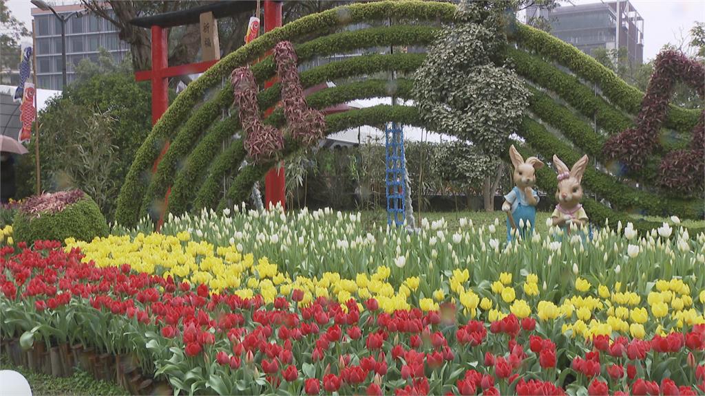 士林官邸鬱金香展夢幻登場 如走進童話世界