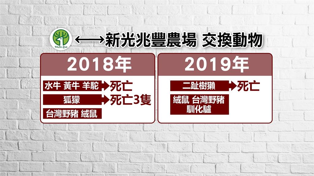 北市動物園遭爆動物交換管理疏失 簡舒培:沒追蹤如同棄養