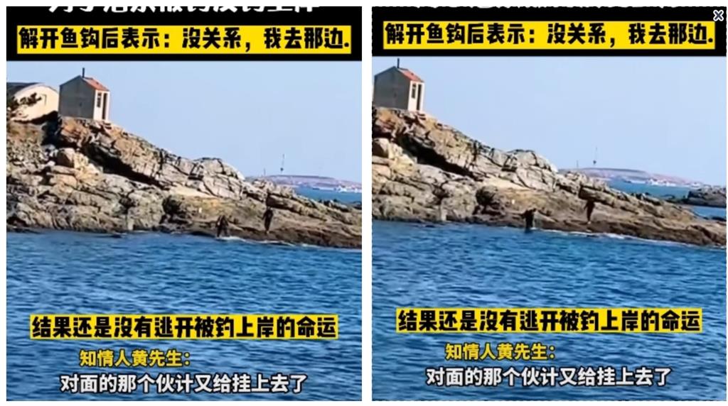 潛水男被當大魚！他連續兩次慘遭「釣」上岸　臉秒垮狼狽樣曝光