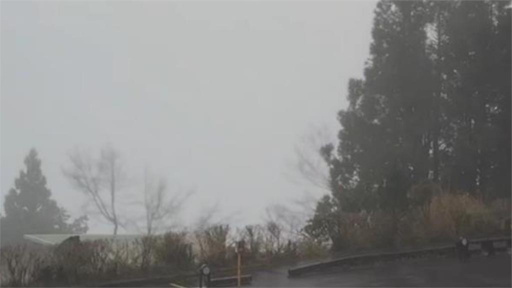 情侶吵架被丟在高山！專家揭「高山離婚」殘酷真相：她零下20度被活活凍死