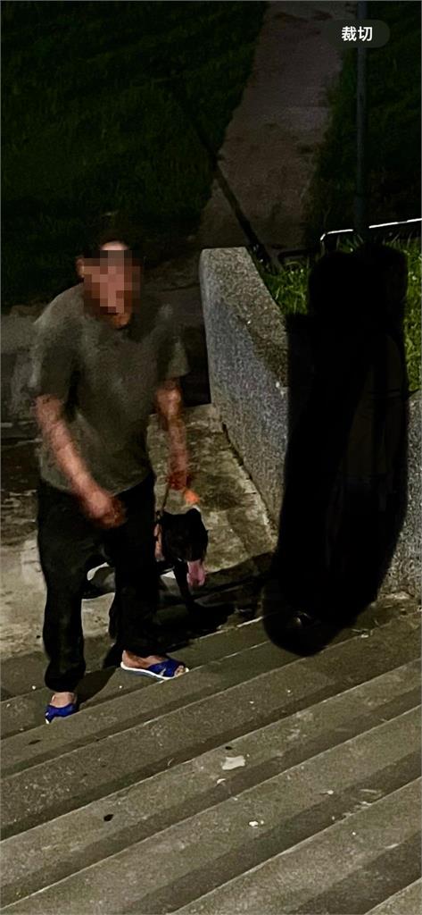 比特犬