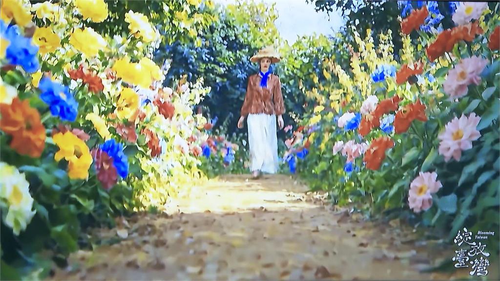 台灣國際蘭展暨花卉科技展2/27台南登場 交易額估破12億