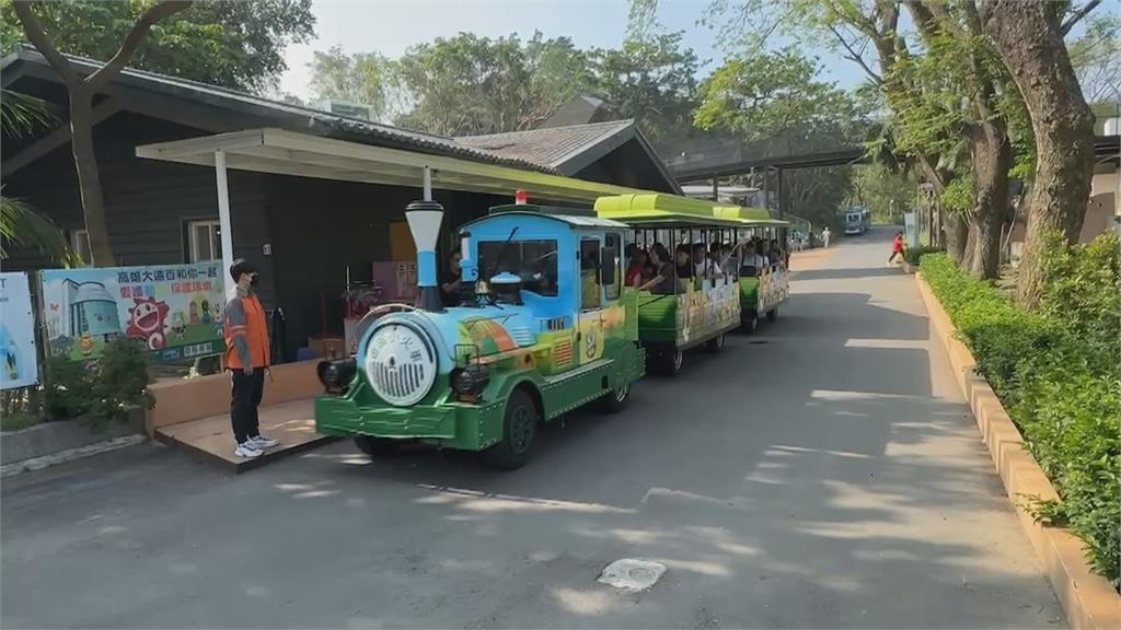 壽山動物園遊園車駕駛遭直擊　邊開車邊滑手機