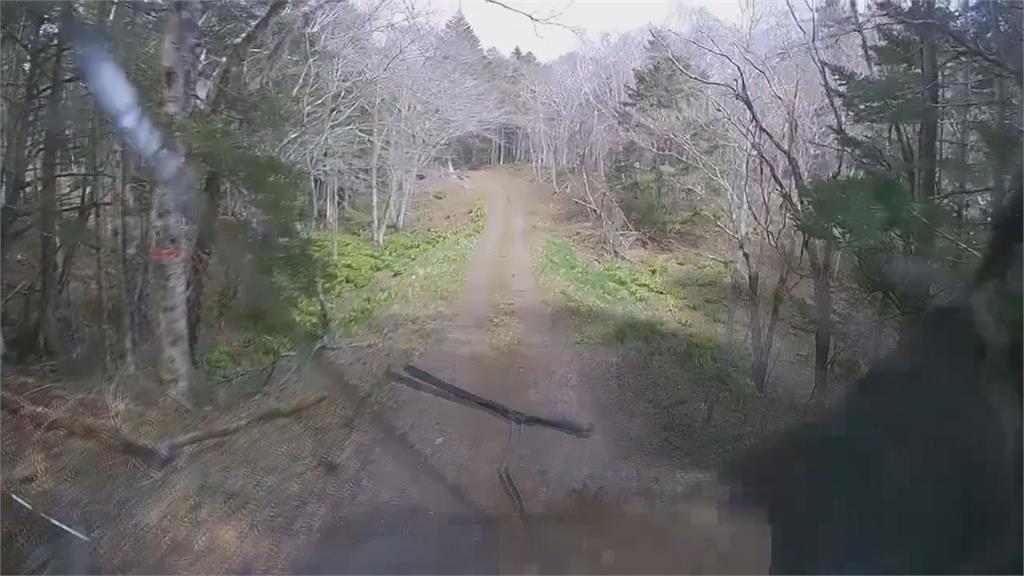 驚悚瞬間曝光！黑熊襲車「一掌巴破玻璃」　日本駕駛猛催油門死裡逃生