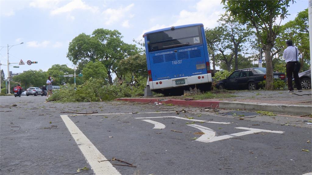 恍神?公車撞路樹車頭被撞穿 駕駛一度受困釀8傷