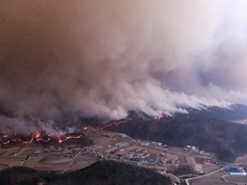 南韓地獄野火釀26人喪命 燒毀面積逾3.6萬公頃成史上規模最大