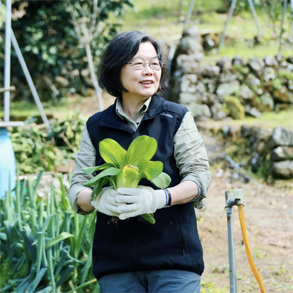 蔡英文PO文徵演講問題！11萬人歪樓喊「要回來當總統嗎」本尊回應了