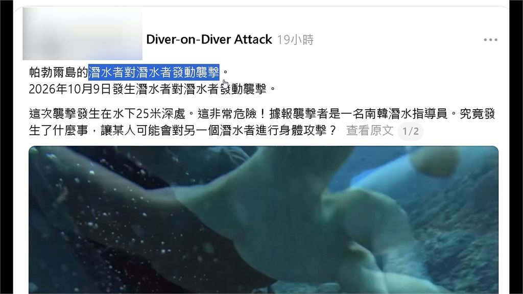 扯！南拳媽媽成員帛琉潛水遇襲　彈頭遭拔面鏡怒斥：簡直謀殺