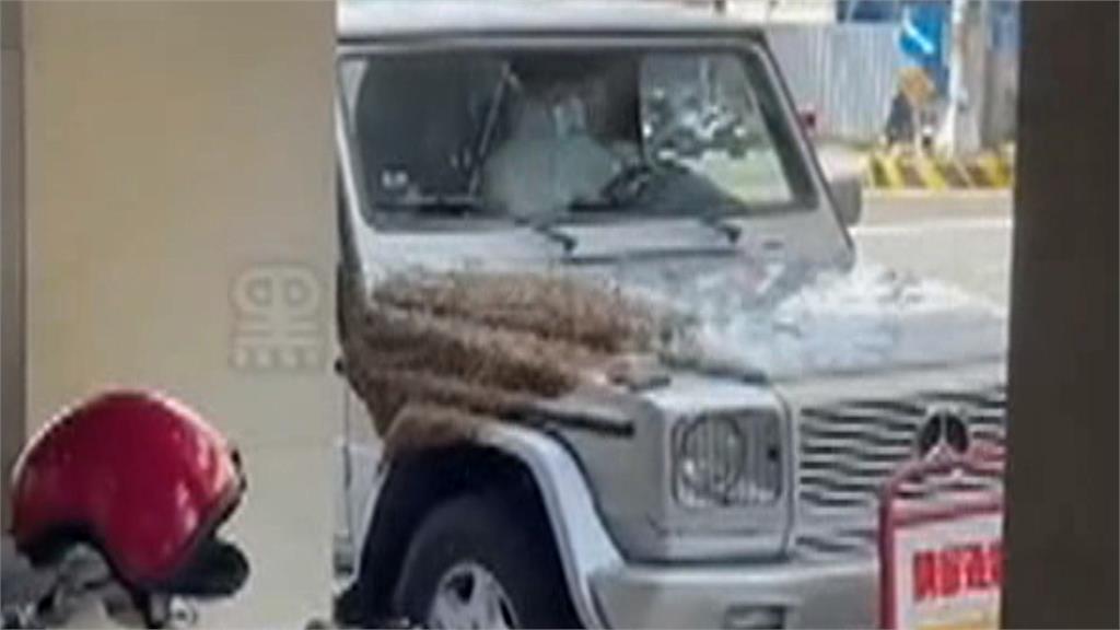 驚!休旅車被群蜂占據 網友:行動養蜂車?