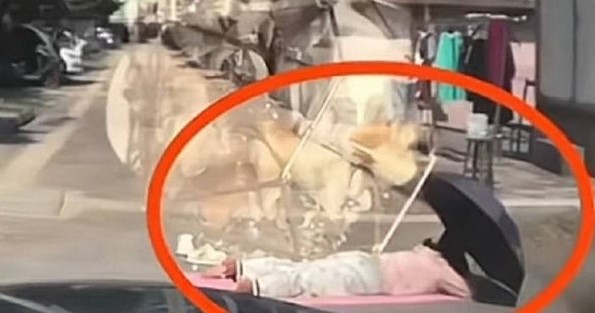她不顧旁人「趴在路上曬背 」!危險行為被車撞:以為車子會看到我